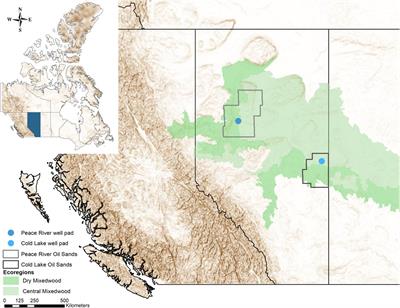 Greenhouse Gas Emissions Dynamics in Restored Fens After In-Situ Oil Sands Well Pad Disturbances of Canadian Boreal Peatlands